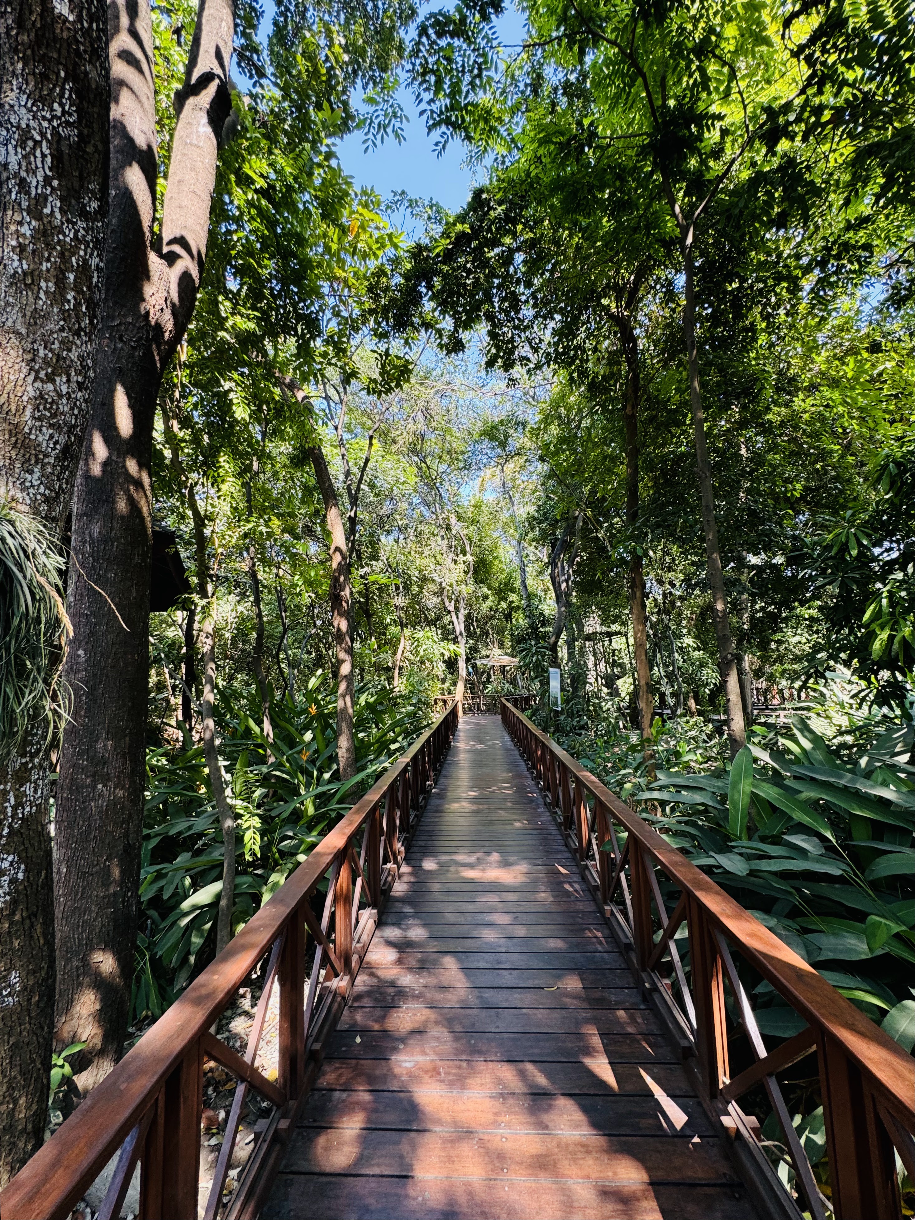 Guayaquil Historical Park 16